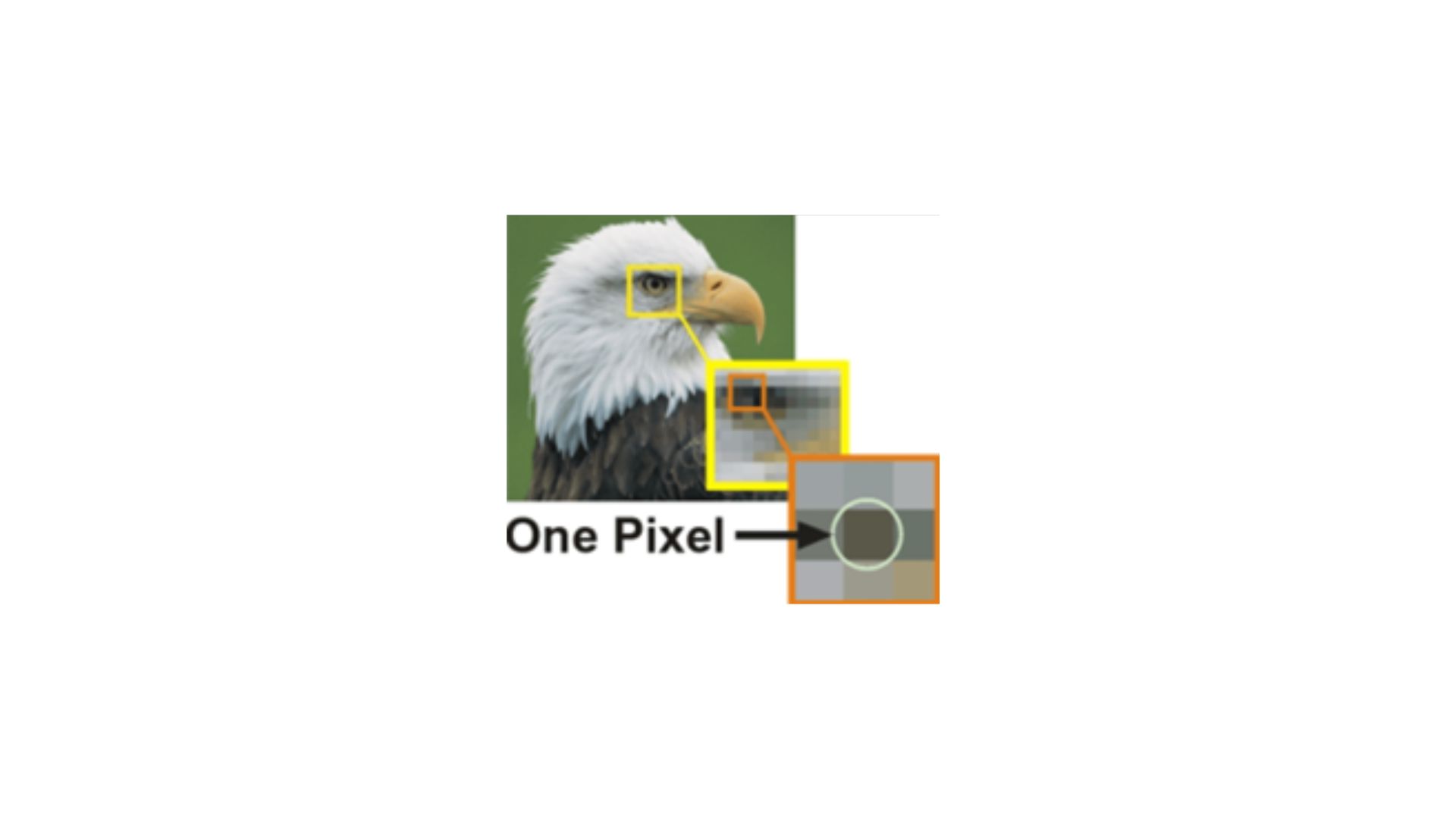 pixel-image